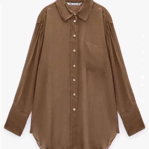 Zara Light Brown Sheer Blouse - Picture 2 of 7